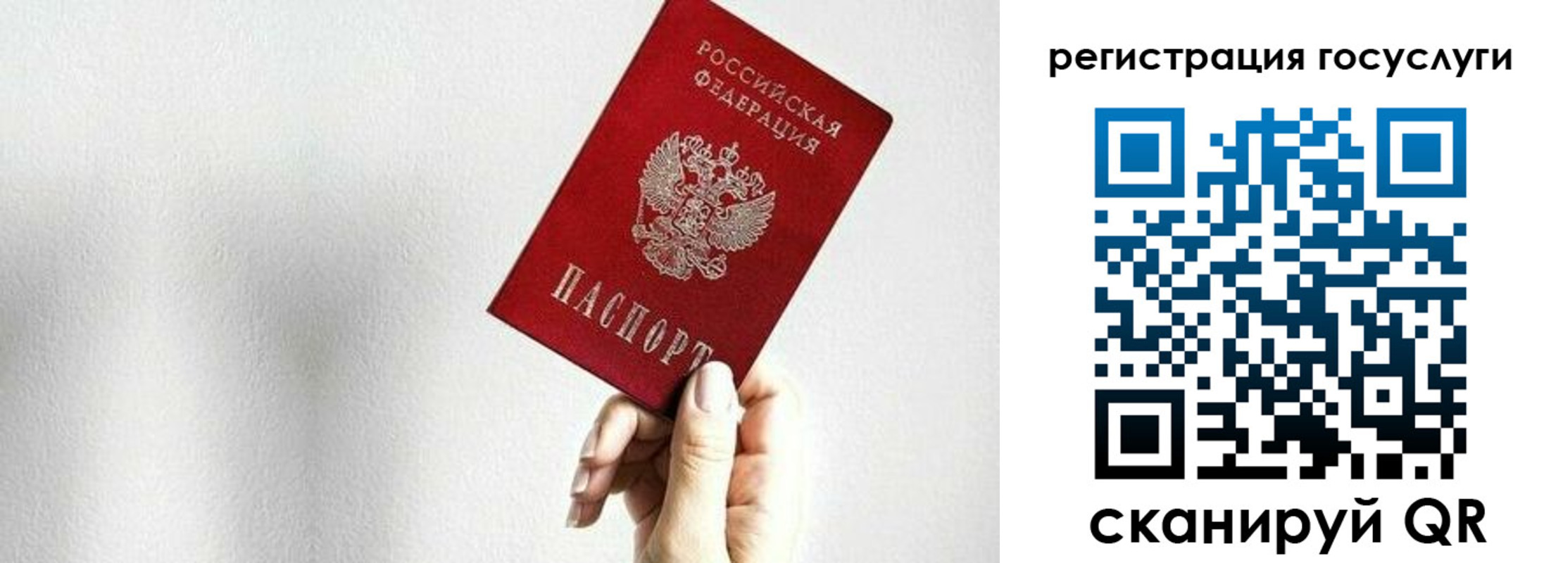 прописка гарантия в Шахтах